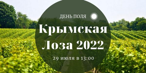 Крымская лоза 2022