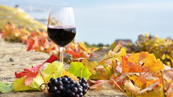 Стандарты в виноградарстве и виноделии