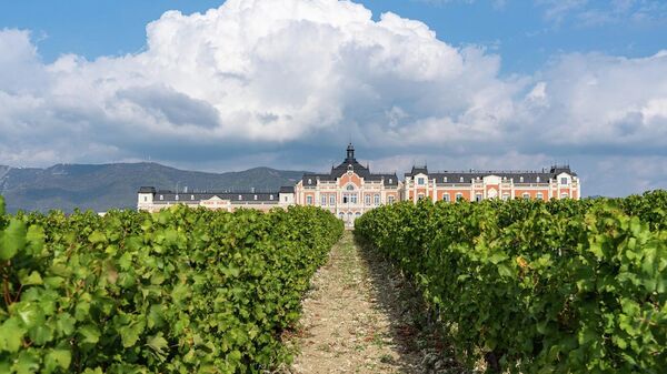 Виноградники Chateau de Talu