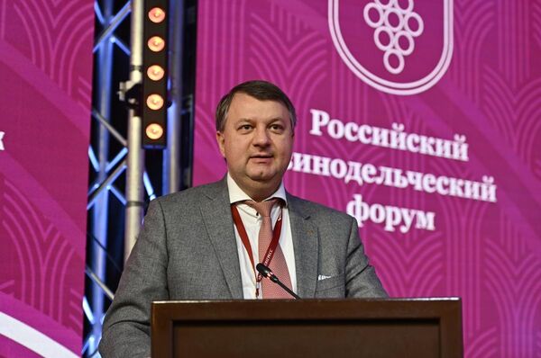 Саммит виноградарей и виноделов России. Владимир Александрович Гончаров, председатель Ростовского виноградо-винодельческого совета