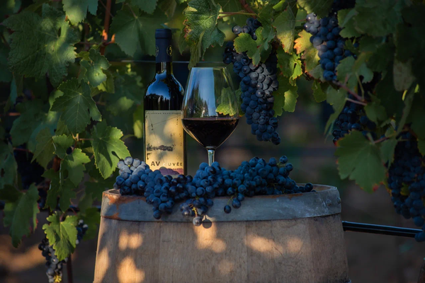 Ассортимент Alma Valley