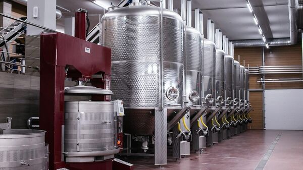 Емкости для ферментации вина. Chateau Pinot
