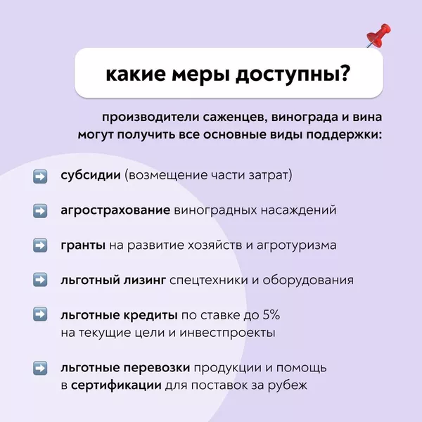 Инфографика от Минсельхоза РФ о поддержке виноградарство и виноделия Инфографика от Минсельхоза РФ о поддержке виноградарство и виноделия