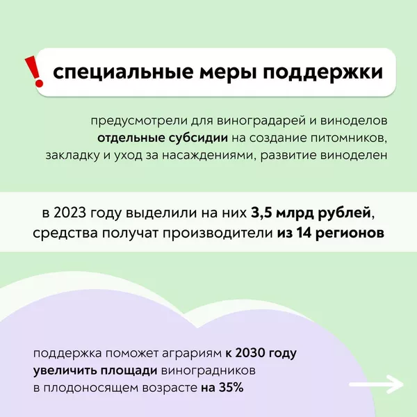 Инфографика от Минсельхоза РФ о поддержке виноградарство и виноделия Инфографика от Минсельхоза РФ о поддержке виноградарство и виноделия