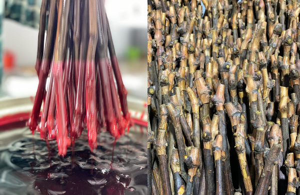 Саженцы питомника Виноградный