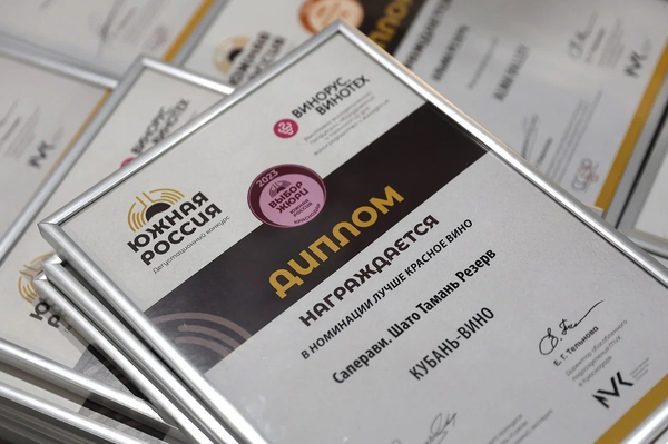 Победители конкурса Южная Россия-2023