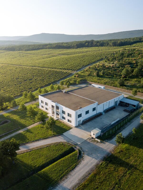 Здание винодельни DOMAINE BURNIER (Винодельческий дом БЮРНЬЕ) Здание винодельни DOMAINE BURNIER (Винодельческий дом БЮРНЬЕ)