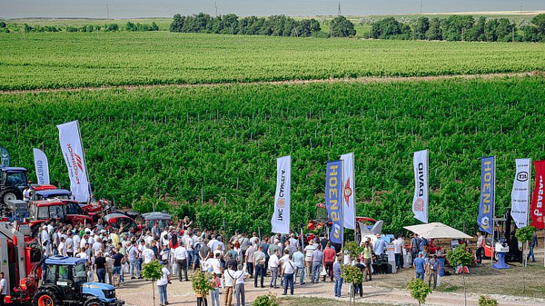 Первый Всероссийский День поля для виноградарей