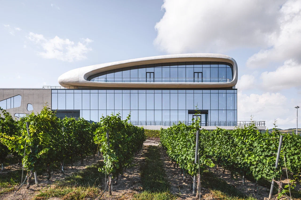 Здание винодельни и виноградники Скалистый берег