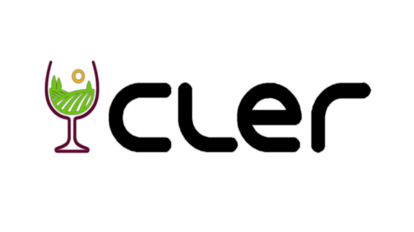 Логотип Агентства Cler