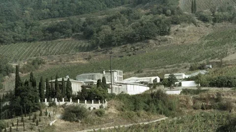 Опытный завод виноградных вин Всесоюзного научно-исследовательского института виноделия и виноградарства Магарач.  