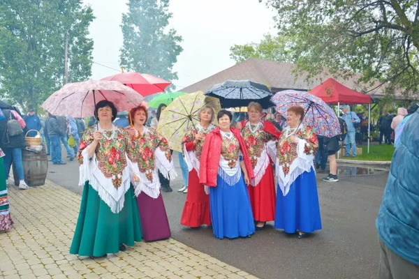 Фестиваль Цимлянская лоза