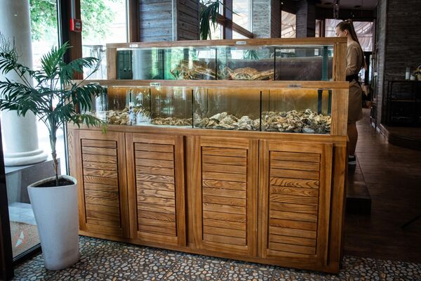 Аквариум ресторана Black Sea