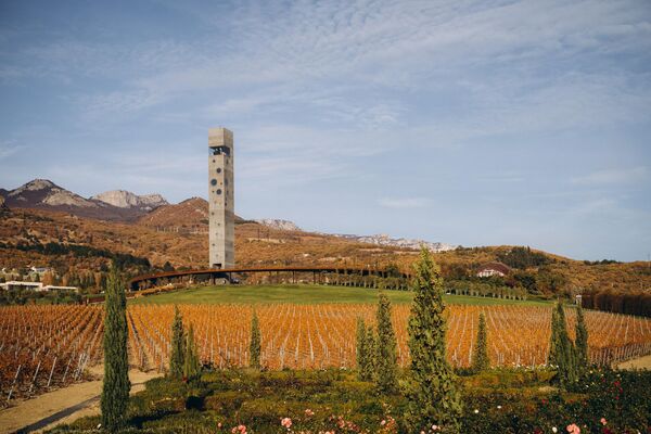 Виноградники крымского проекта MRIYA
