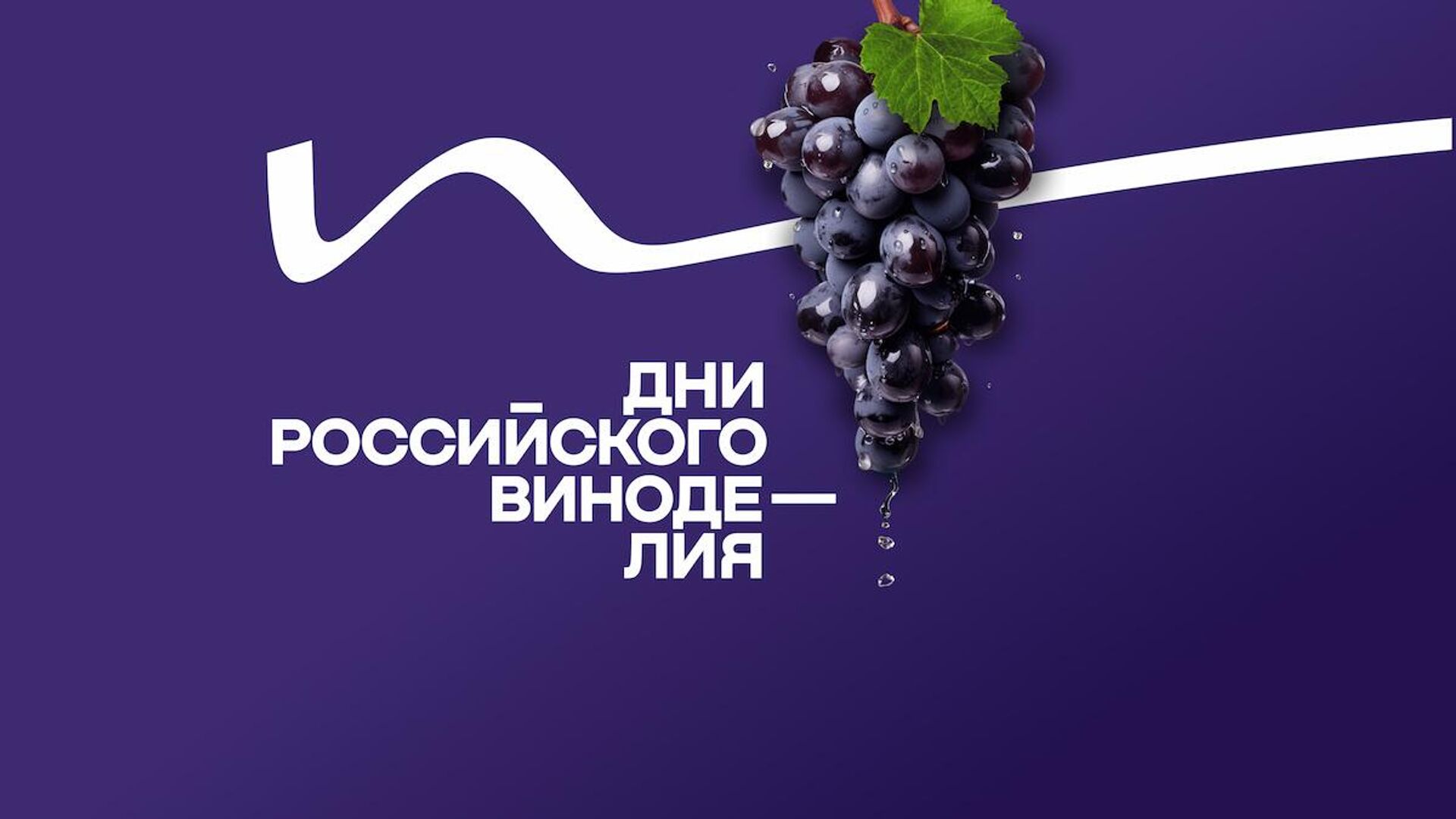 Аввр. Вино территория. Винная промышленность. Центр винного туризма winepark. Вилы винного парка winepark в Крыму.