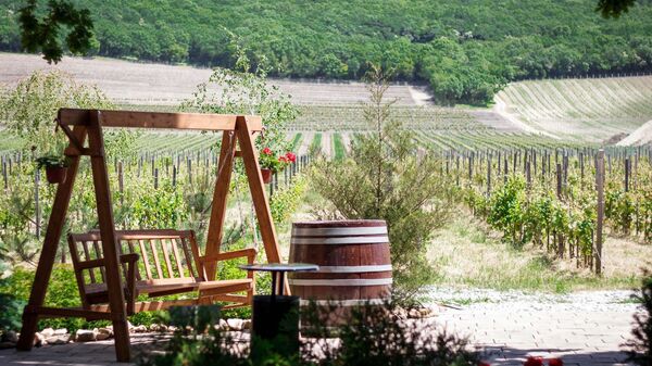 Виноградники Nesterov Winery