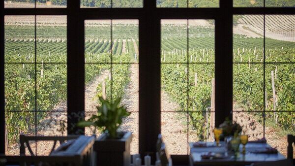 Вид на виноградники Nesterov Winery из ресторана Винотеррия