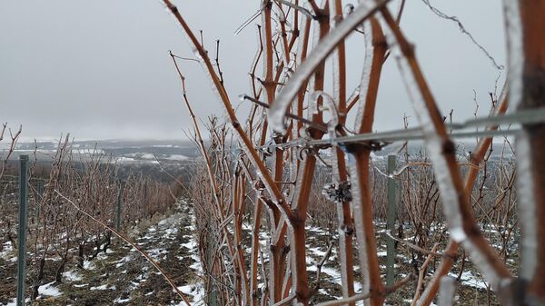 Tempelhof Winery