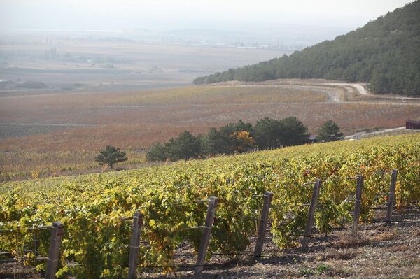 Винодельня Усадьба Белогорье