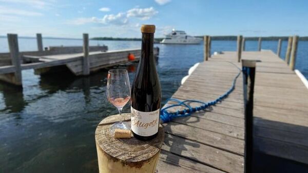 Вино сухое белое, ЗГУ Крым, VINO & NEBO, Алиготе, 2023