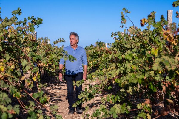 Винодельческое хозяйство Villa Urkusta (Крым, Байдарская долина)