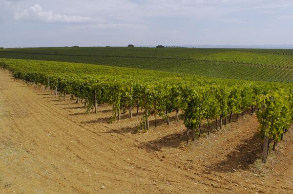 ВК Сатера (Esse), Крым