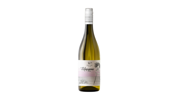Новинки 2024: ассортимент Denisov Winery (Самара) Новинки 2024: ассортимент Denisov Winery (Самара)
