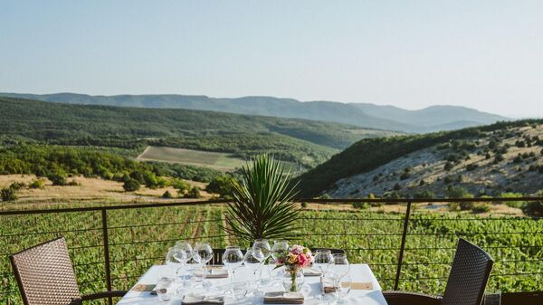 Вид на виноградники UPPA Winery (Крым, Севастополь) Вид на виноградники UPPA Winery (Крым, Севастополь)