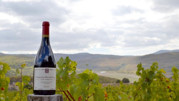 Вид на виноградники UPPA Winery (Крым, Севастополь) Вид на виноградники UPPA Winery (Крым, Севастополь)