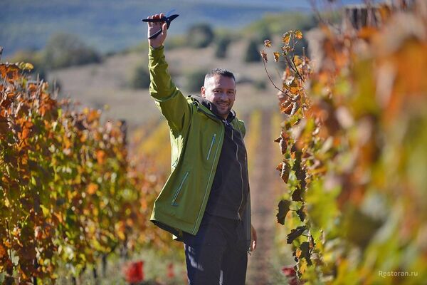 Виноградники UPPA Winery Виноградники UPPA Winery