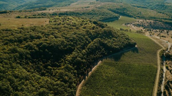 Виноградники UPPA Winery 