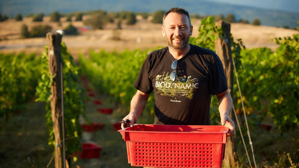 Павел Швец, основатель и винодел хозяйства UPPA Winery (Крым, Севастополь, Родное)