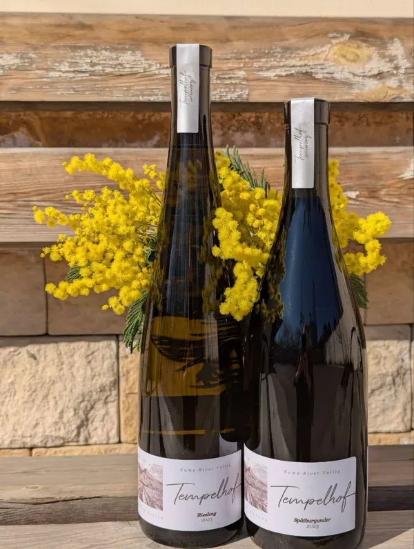 Вино белое сухое, ЗГУ Ставрополье, Tempelhof Winery, Рислинг, 2023 Вино белое сухое, ЗГУ Ставрополье, Tempelhof Winery, Рислинг, 2023