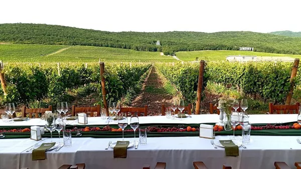 Nesterov Winery