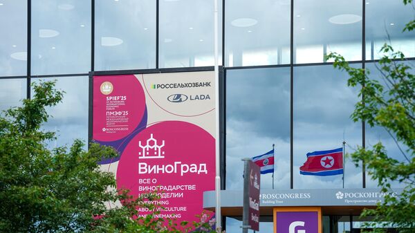 Площадка ВиноГрад. ПМЭФ-2025