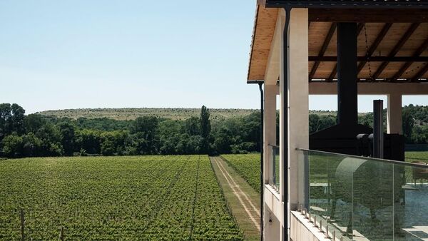 Винодельческое хозяйство Рема Акчурина