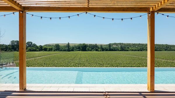 Винодельческое хозяйство Рема Акчурина