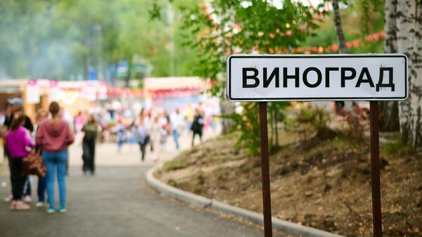 Фестиваль Виноград в Екатеринбурге (2025)