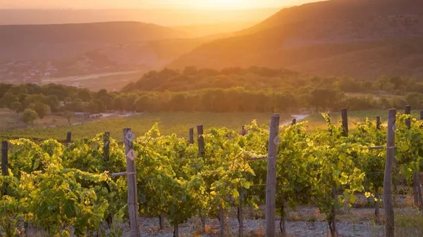 Осенние закаты на винодельне Le K2. Крым, Севастополь, село Родное