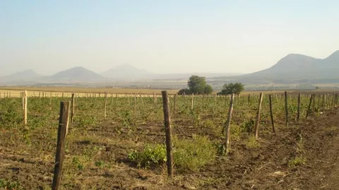 Ставропольский государственный аграрный университет. Исследование ВВЗ Ставрополье