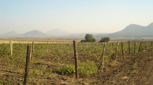 Ставропольский государственный аграрный университет. Исследование ВВЗ Ставрополье