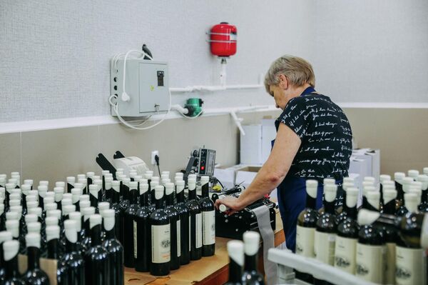 Ставропольский государственный университет. Исследование ВВЗ Ставрополье Ставропольский государственный университет. Исследование ВВЗ Ставрополье