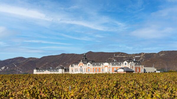 Винодельня Шато де Талю (ВВЗ Кубань, Краснодарский край)