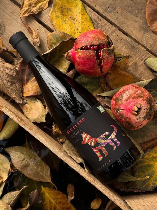 Вино красное сухое Villa di Alma Red Blend