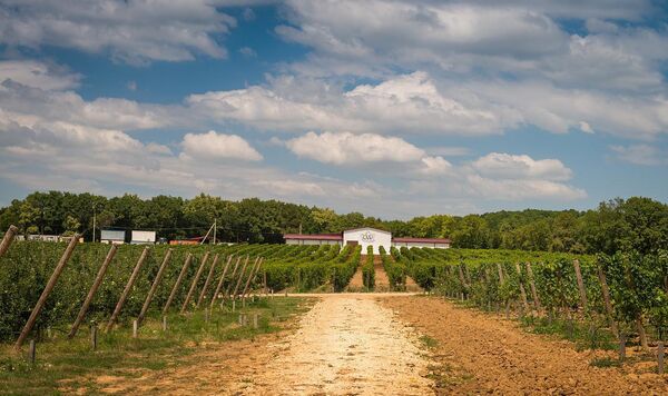 Здание винодельни Gunko Winery