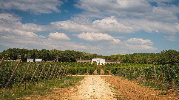 Здание винодельни Gunko Winery