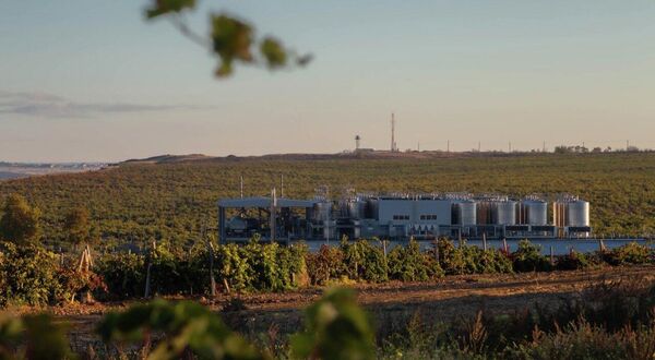 Цех переработки на виноградниках