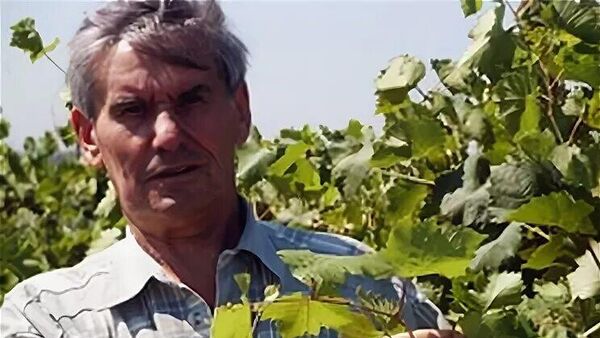 Доктор биологических наук в области виноградарства Трошин Леонид Петрович