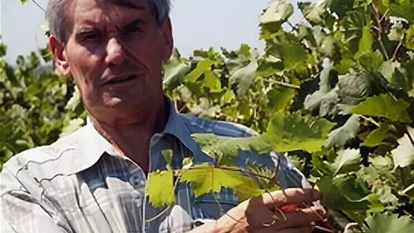 Доктор биологических наук в области виноградарства Трошин Леонид Петрович