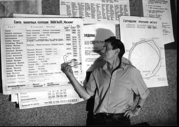 Леонид Трошин, доктор биологических наук, профессор КубГАУ